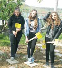 Феерия от багри в Миладиново