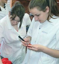 Нови професии в дуалното обучение