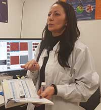 Слънчеви панели с полимерни фотоелементи ще намалят стойността на соларните системи