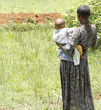 ЕП се обявява срещу ранните бракове