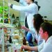 От училищния чин към университетската банка