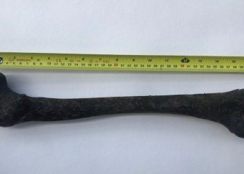 Откриха 5000-годишна човешка кост в Темза