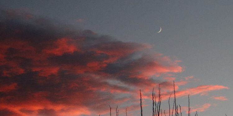 Традиция, наречена „Мисия гора“*