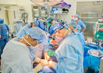 Успешна трансплантация  на свински сърца