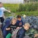 Уроци на открито през всички сезони