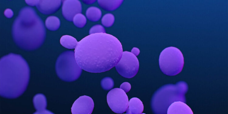 Увеличават се случаи на заразна гъбичка