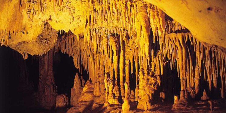 И древните хора са познавали наркотиците