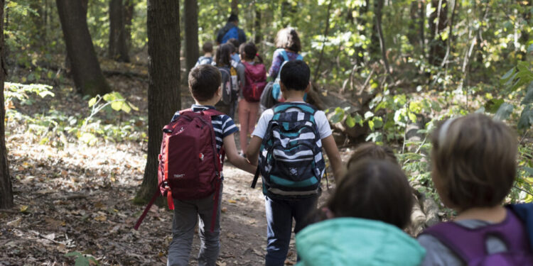 В търсене на съкровище