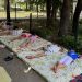 Дрямка в двора на 79. ДГ „Слънчице“