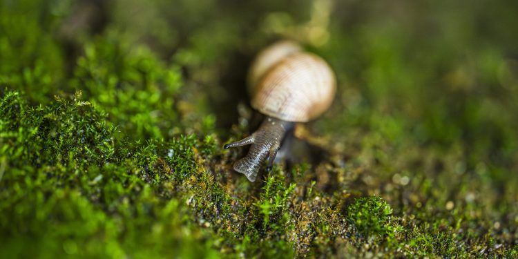 Български ученици участват с фотографии в международен конкурс по природни науки