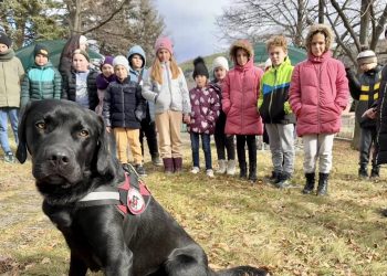 Училището в с. Дивотино въвежда метода „Монтесори“ в обучението си