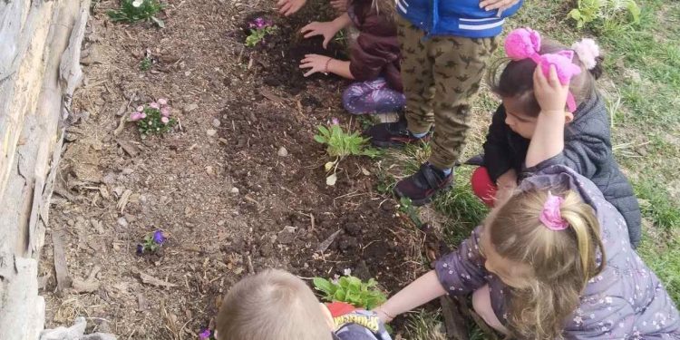 Малки посланици на природата в село Черни Осъм