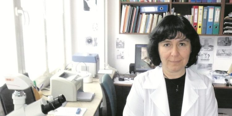 Учени създадоха бактериален препарат с пестицидно действие