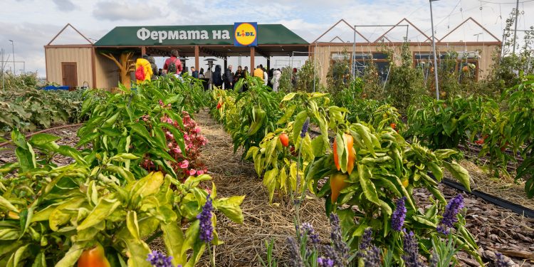 „Фeрмата на Lidl” – образователна градина от ново поколение