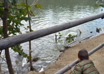 Малки изследователи рециклират и се грижат за птици в Гоце Делчев